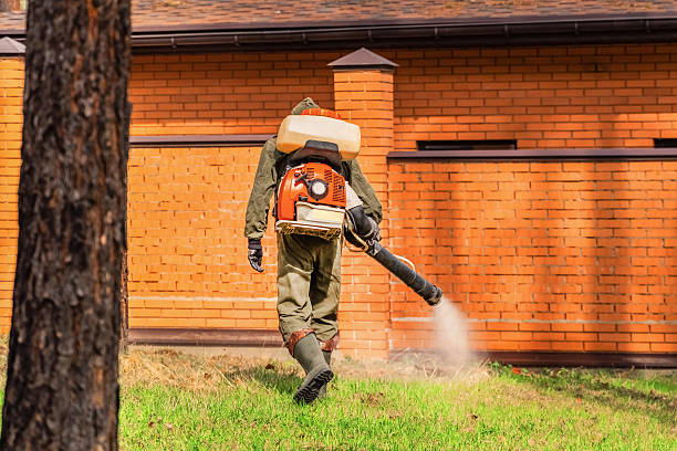 Trusted Mosquito Control service in Lake Shore, MD - Nex Pest Control